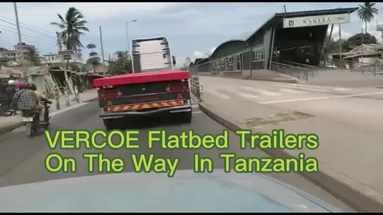 Rimorchio semirimorchio a pianale ribassato/ribaltabile/container/ribassato/scheletrato/per camion rimorchio